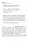 Research paper thumbnail of Lightning and fire weather in eastern coastal fynbos shrublands: seasonality and long-term trends