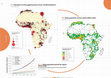 Research paper thumbnail of Megacities and archipelagos: An emerging urban framework