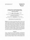 Research paper thumbnail of Transgenic tobacco expressing geminiviral RNAs are resistant to the serious viral pathogen causing cotton leaf curl disease