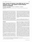 Research paper thumbnail of Cloning, expression and localization of human BM88 shows that it maps to chromosome 11p15.5, a region implicated in Beckwith–Wiedemann syndrome and tumorigenesis