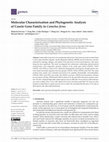 Research paper thumbnail of Molecular Characterization and Phylogenetic Analysis of Casein Gene Family in Camelus ferus