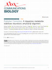 Research paper thumbnail of Publisher Correction: A dopamine metabolite stabilizes neurotoxic amyloid-β oligomers