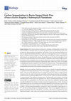 Research paper thumbnail of Carbon Sequestration in Resin-Tapped Slash Pine (Pinus elliottii Engelm.) Subtropical Plantations