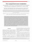 Research paper thumbnail of Two-compartment tumor metabolism: Autophagy in the tumor microenvironment and oxidative mitochondrial metabolism (OXPHOS) in cancer cells