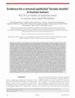 Research paper thumbnail of Evidence for a stromal-epithelial “lactate shuttle” in human tumors