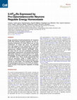 Research paper thumbnail of 5-HT2CRs Expressed by Pro-Opiomelanocortin Neurons Regulate Energy Homeostasis