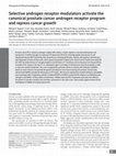 Research paper thumbnail of Selective androgen receptor modulators activate the canonical prostate cancer androgen receptor program and repress cancer growth