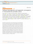 Research paper thumbnail of Subtype Heterogeneity and Epigenetic Convergence in Neuroendocrine Prostate Cancer