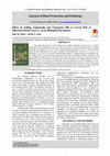 Research paper thumbnail of Effect of Adding Chamomile and Cinnamon Oils to Larval Diet of Silkworm Bombyx mori L. on its Biological Parameters