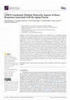 Research paper thumbnail of GPR19 Coordinates Multiple Molecular Aspects of Stress Responses Associated with the Aging Process