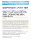 Research paper thumbnail of Recessive mutations in<i>SLC13A5</i>result in a loss of citrate transport and cause neonatal epilepsy, developmental delay and teeth hypoplasia