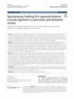 Research paper thumbnail of Spontaneous healing of a ruptured anterior cruciate ligament: a case series and literature review