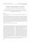 Research paper thumbnail of Adsorption of apple polyphenols onto β-glucan