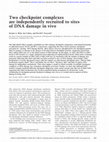 Research paper thumbnail of Two checkpoint complexes are independently recruited to sites of DNA damage in vivo