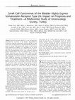 Research paper thumbnail of Small Cell Carcinomas of the Bladder Highly Express Somatostatin Receptor Type 2A