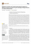 Research paper thumbnail of Synthesis of Nickel and Cobalt Ferrite-Doped Graphene as Efficient Catalysts for Improving the Hydrogen Storage Kinetics of Lithium Borohydride