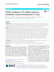 Research paper thumbnail of Ythdf2-mediated m6A mRNA clearance modulates neural development in mice