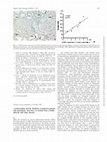 Research paper thumbnail of  -Galactosidase activity should be examined in patients with proteinuria: what have we learned from a family affected with Fabry disease?