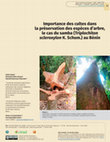 Research paper thumbnail of Importance des cultes dans la préservation des espèces d’arbre, le cas du samba (Triplochiton scleroxylon K. Schum.) au Bénin