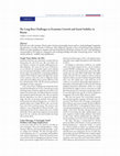 Research paper thumbnail of The Long-Run Challenges to Economic Growth and Social Stability in Russia