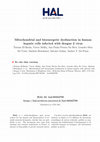 Research paper thumbnail of Mitochondrial and bioenergetic dysfunction in human hepatic cells infected with dengue 2 virus