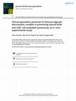 Research paper thumbnail of Cell encapsulation potential of chitosan-alginate electrostatic complex in preventing natural killer and CD8<sup>+</sup>cell-mediated cytotoxicity: an in vitro experimental study