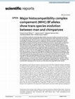 Research paper thumbnail of Major histocompatibility complex complement (MHC) Bf alleles show trans species evolution between man and chimpanzee