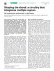 Research paper thumbnail of Shaping the shoot: a circuitry that integrates multiple signals