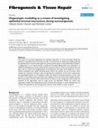 Research paper thumbnail of Organotypic modelling as a means of investigating epithelial-stromal interactions during tumourigenesis