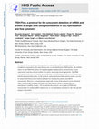 Research paper thumbnail of FISH-Flow, a protocol for the concurrent detection of mRNA and protein in single cells using fluorescence in situ hybridization and flow cytometry