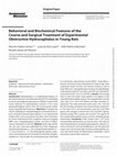 Research paper thumbnail of Behavioral and Biochemical Features of the Course and Surgical Treatment of Experimental Obstructive Hydrocephalus in Young Rats