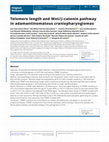 Research paper thumbnail of Telomere length and Wnt/β-catenin pathway in adamantinomatous craniopharyngiomas