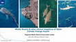 Research paper thumbnail of whale shark & other marine megafauna of Qatar- Climate Change Impact