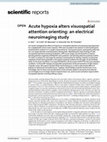 Research paper thumbnail of Acute hypoxia alters visuospatial attention orienting: an electrical neuroimaging study