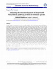 Research paper thumbnail of Analyzing the structural aspects of Isoprenoid biosynthesis pathway proteins in Ocimum species