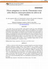 Research paper thumbnail of Efecto antagónico in vitro de Clonostachys rosea sobre Botrytis cinerea procedente de cultivos de Vitis vinífera In vitro agonist effect of Clonostachys rosea on the growth of Botrytis cinerea from cultures of Vitis vinifera