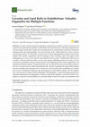 Research paper thumbnail of Caveolae and Lipid Rafts in Endothelium: Valuable Organelles for Multiple Functions