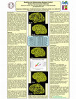 Research paper thumbnail of Modeling the Relationships Between Cortical Surface Reconstruction Methods