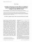 Research paper thumbnail of Possible involvement of cyclic AMP as an inhibitory regulator in thrombocyte aggregation induced by collagen in carp Cyprinus carpio