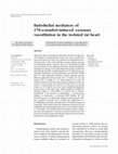 Research paper thumbnail of Endothelial mediators of 17ß-estradiol-induced coronary vasodilation in the isolated rat heart