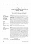 Research paper thumbnail of Statistical Shape Analysis of the Corpus Callosum and the Cerebellum in Migraine Patients