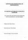 Research paper thumbnail of Ensayo: El Viaje de Luiz Gama en la Era de la Cognición