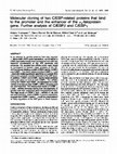 Research paper thumbnail of Molecular cloning of two C/EBP-related proteins that bind to the promoter and the enhancer of the α<sub>1</sub>-fetoprotein gene. Further analysis of C/EBPβ and C/EBPγ