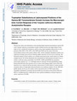 Research paper thumbnail of Tryptophan Substitutions at Lipid-exposed Positions of the Gamma M3 Transmembrane Domain Increase the Macroscopic Ionic Current Response of the Torpedo californica Nicotinic Acetylcholine Receptor