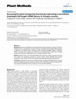 Research paper thumbnail of Screening for plant transporter function by expressing a normalized Arabidopsis full-length cDNA library in Xenopus oocytes