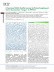 Research paper thumbnail of A Functional EXXEK Motif is Essential for Proton-Coupling and Active Glucosinolate Transport by NPF2.11