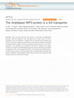 Research paper thumbnail of The Arabidopsis NPF3 protein is a GA transporter