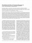 Research paper thumbnail of Elucidating the Role of Transport Processes in Leaf Glucosinolate Distribution