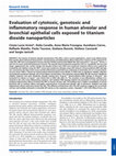 Research paper thumbnail of Evaluation of cytotoxic, genotoxic and inflammatory response in human alveolar and bronchial epithelial cells exposed to titanium dioxide nanoparticles