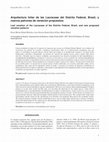 Research paper thumbnail of Arquitectura foliar de las Lauraceae del Distrito Federal, Brasil, y nuevos patrones de venación propuestos Leaf venation of the Lauraceae of the Distrito Federal, Brazil, and new proposed venation patterns